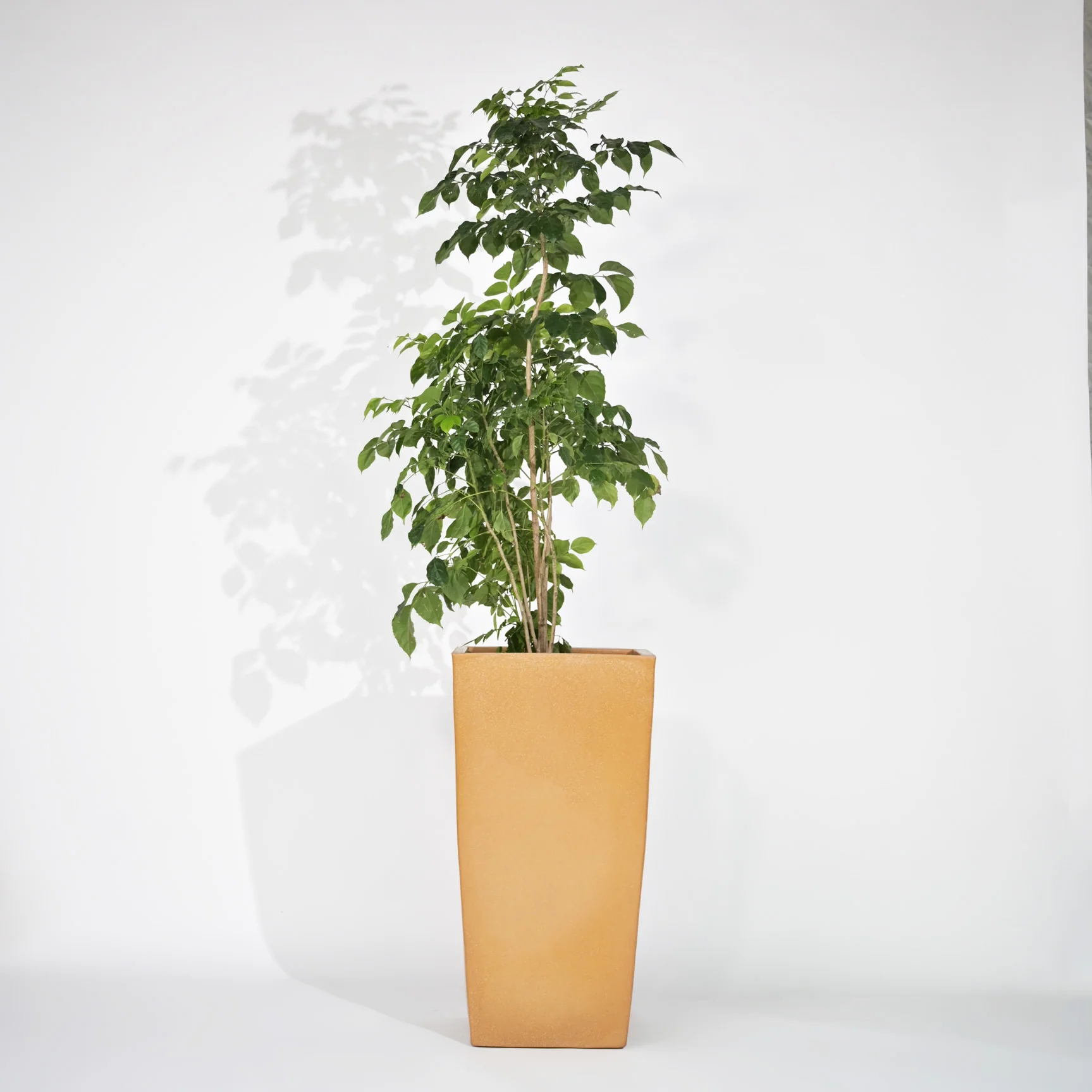 Bent Block Outdoor Polymer Planters For Garden, Balcony (XXXL) - Image 3