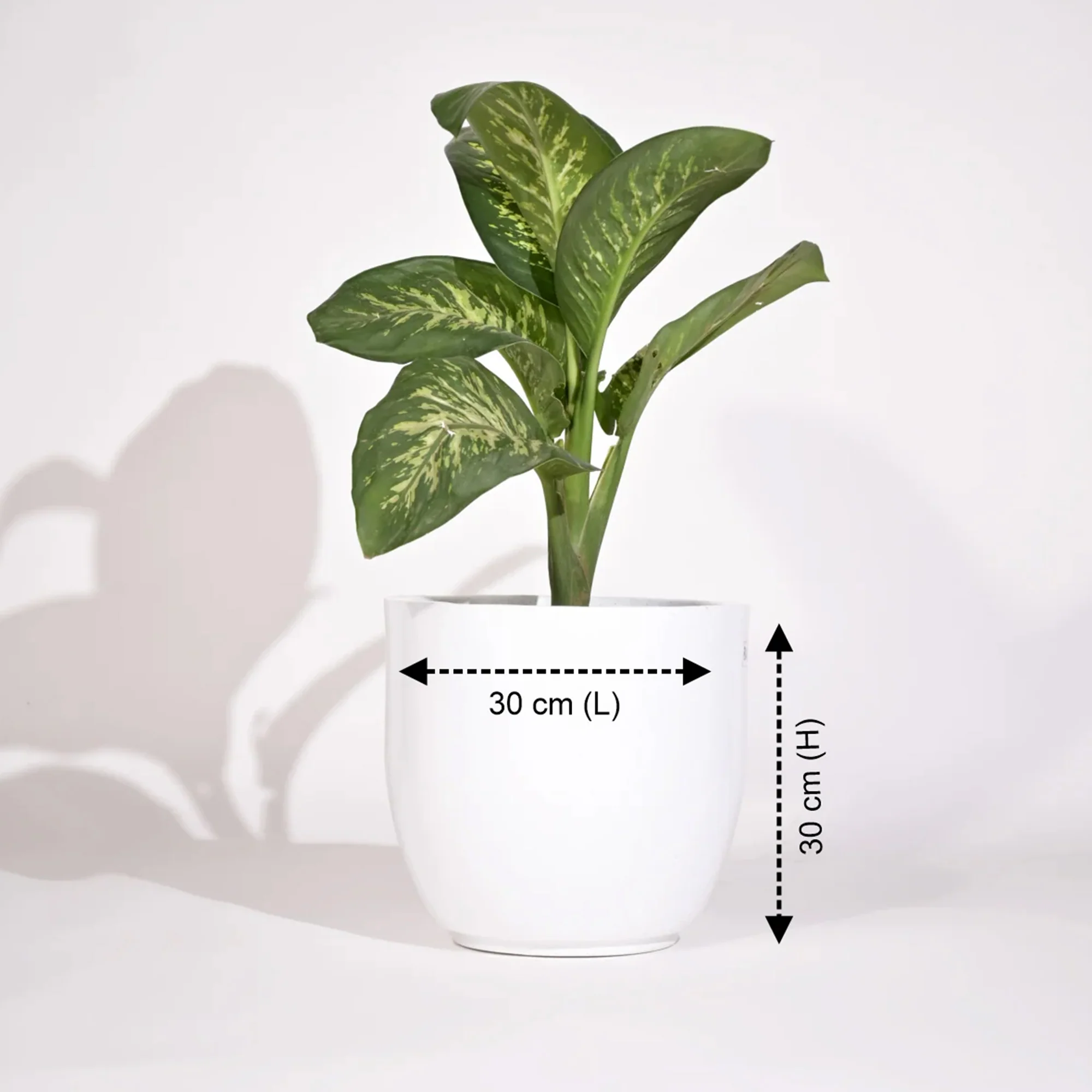 Cup Outdoor Polymer Planters For Garden, Balcony (Pair Of Large And Medium) - Image 3