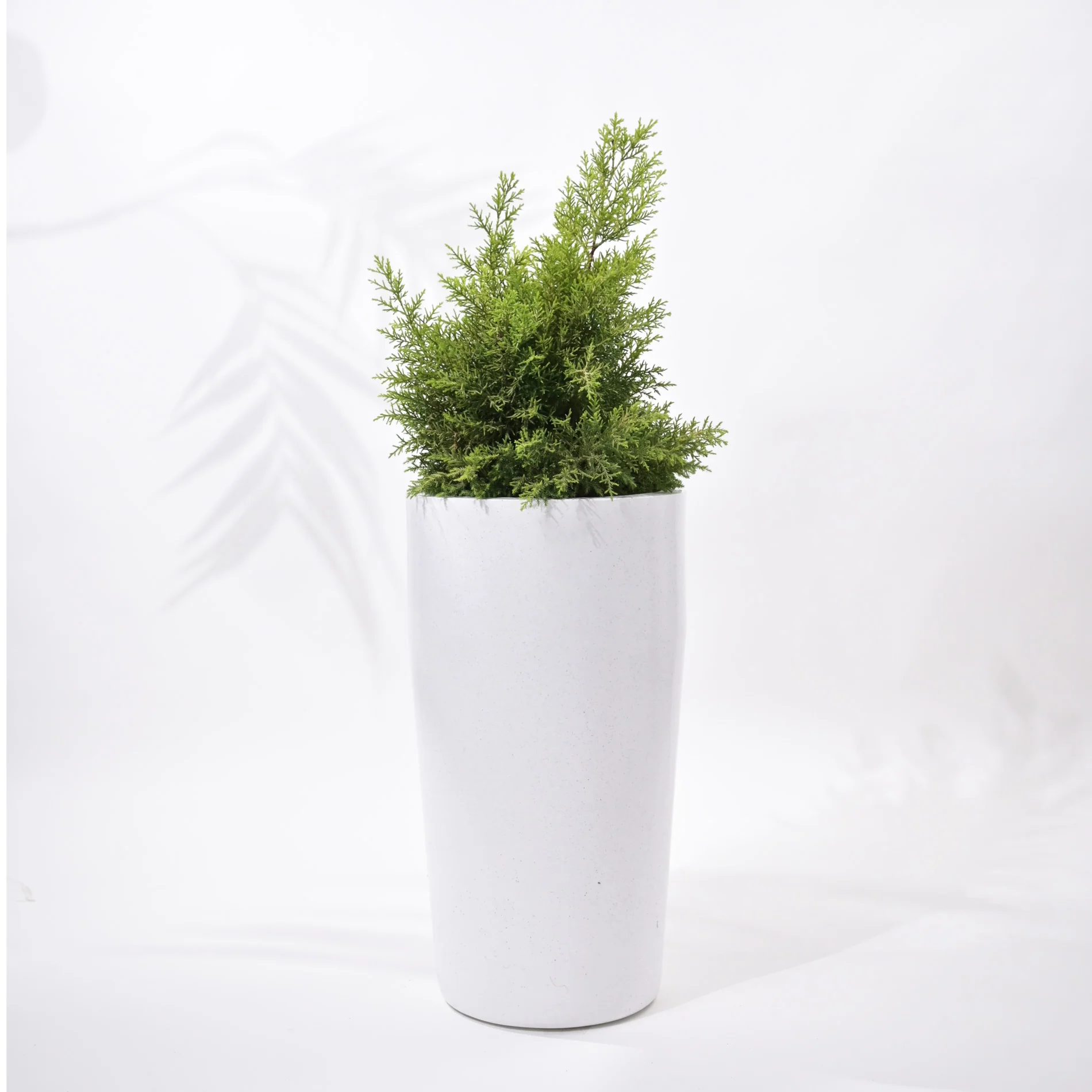 Cylindro Outdoor Polymer Planters For Garden, Balcony (Medium) - Image 3