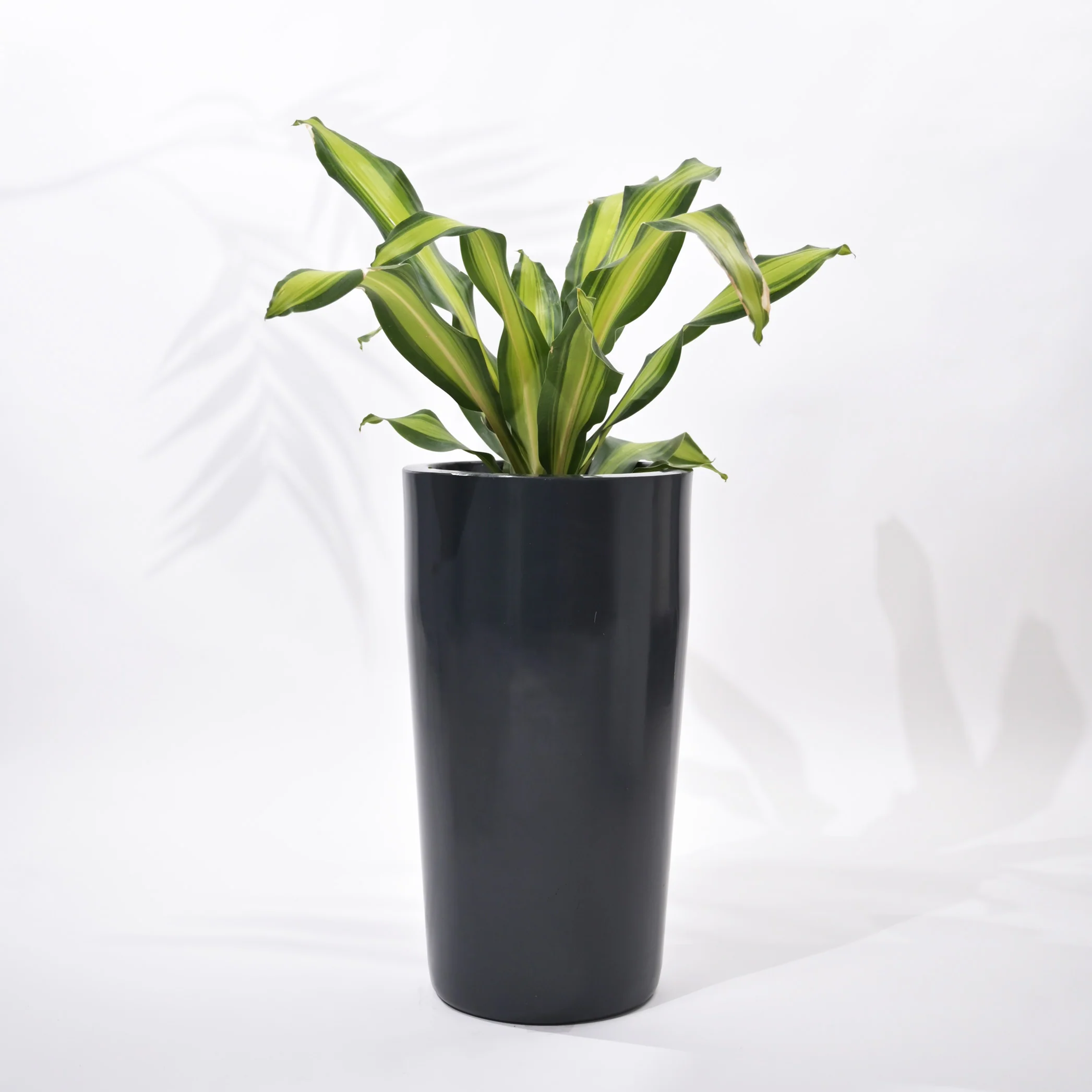 Cylindro Outdoor Polymer Planters For Garden, Balcony (Medium) - Image 4