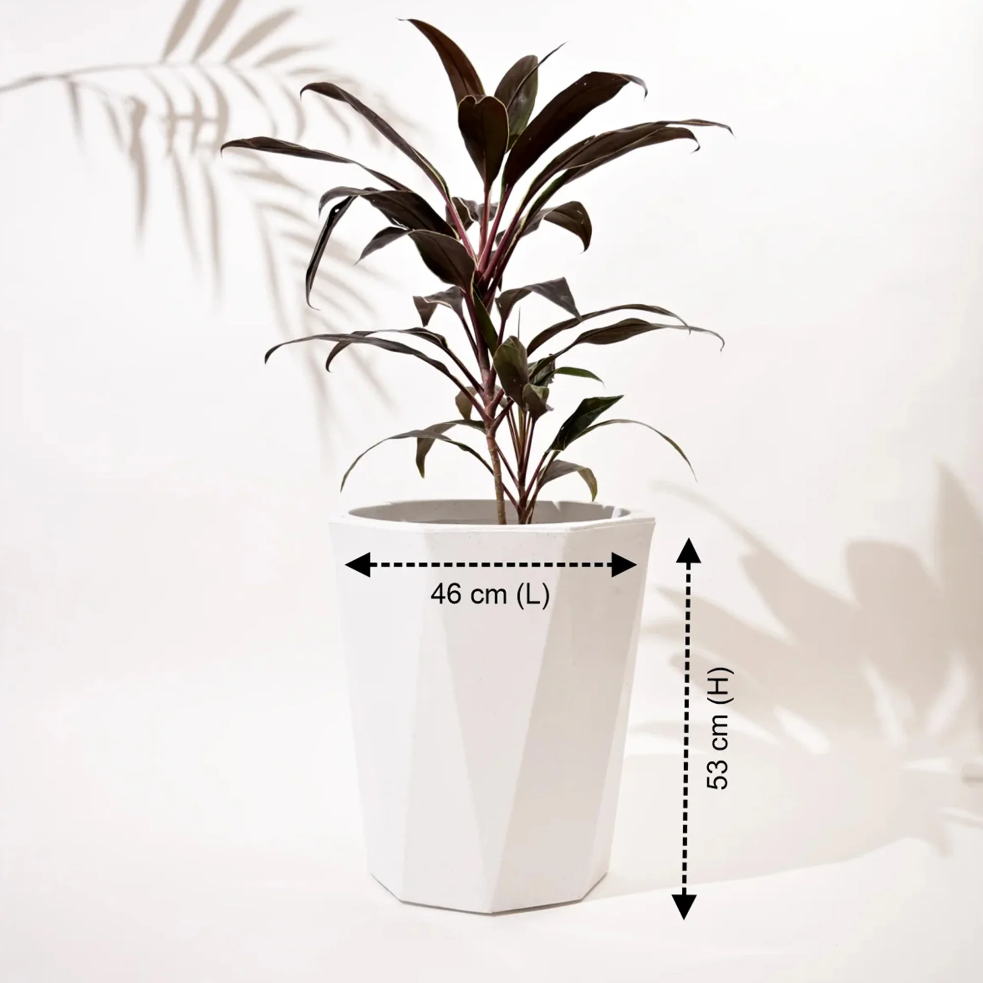 Diamond Outdoor Polymer Planters For Garden, Balcony (Pair Of Large, Small And Medium) - Image 3