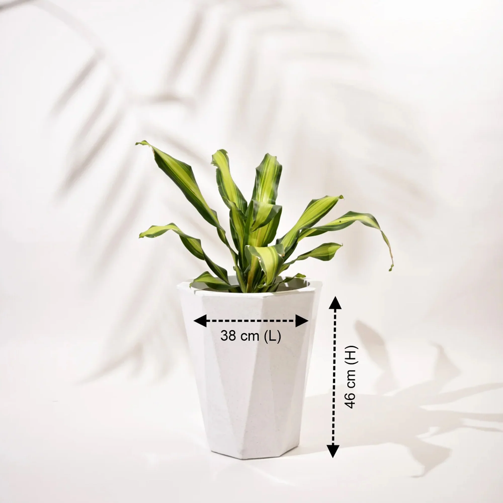 Diamond Outdoor Polymer Planters For Garden, Balcony (Pair Of Large, Small And Medium) - Image 4