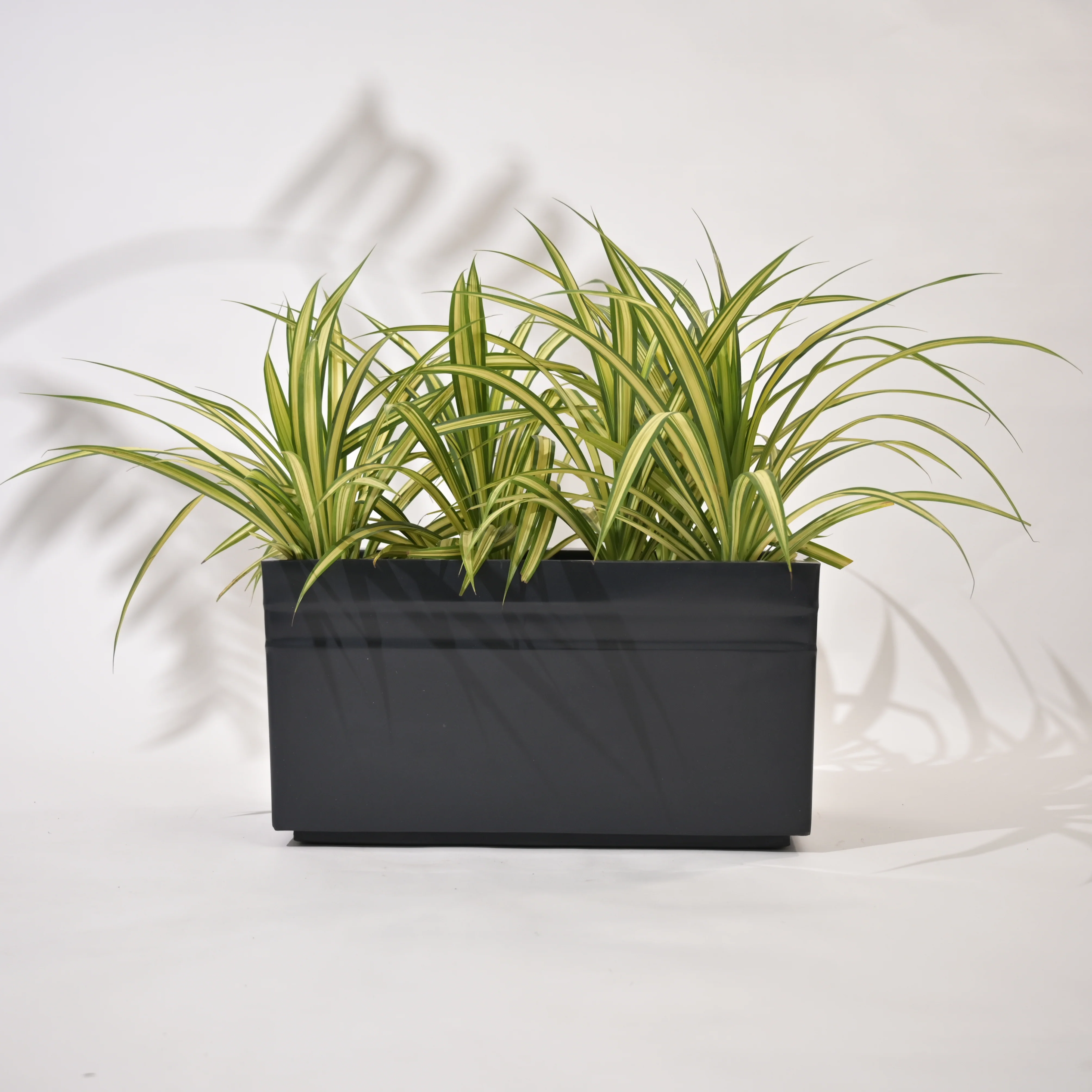 Trow Outdoor Polymer Planters For Garden, Balcony (Medium) - Image 3